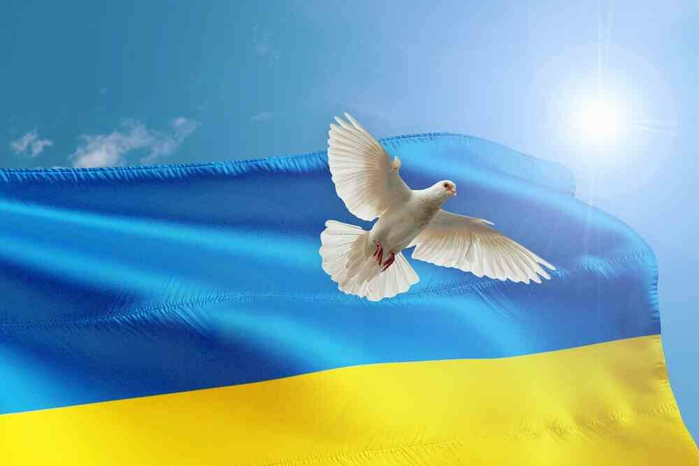 Ukrainische Flagge und Friedenstaube